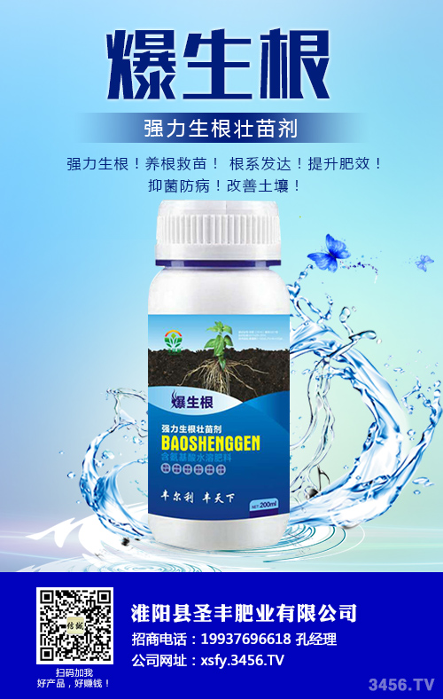 如何做到生根养根护根 如何做到生根养根护根