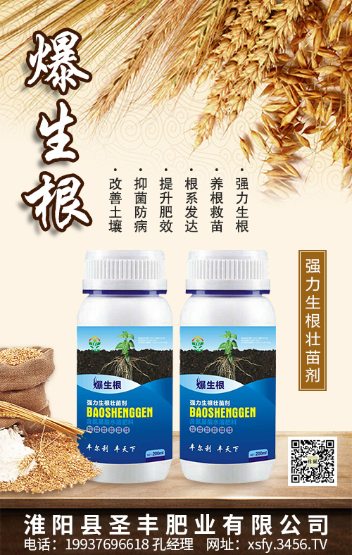 如何做到生根养根护根 如何做到生根养根护根