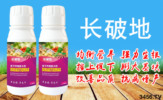 地下作物增产30%以上,打破增产极限,高产高收入的秘诀! 地下作物增产30%以上,打破增产极限,高产高收入的秘诀!