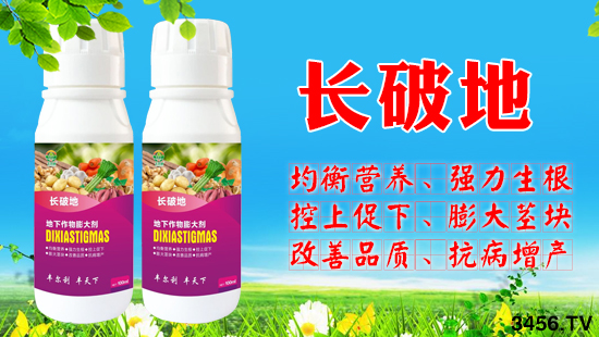 地下作物增产30%以上,打破增产极限,高产高收入的秘诀! 地下作物增产30%以上,打破增产极限,高产高收入的秘诀!